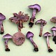 Inocybe geophylla