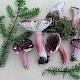 Russula fuscorubroides