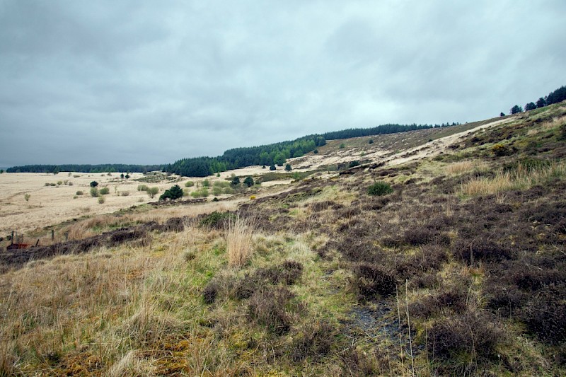 Acid Grassland/Heathland and Moorland - © Charles Hipkin