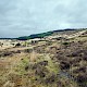 Acid Grassland/Heathland and Moorland