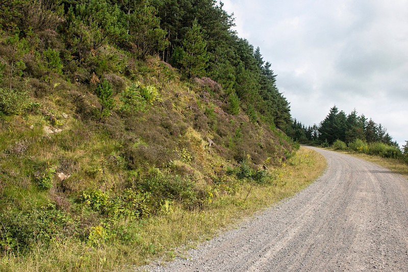 Acid Grassland/Heathland and Moorland