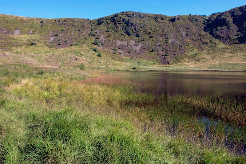 Exposed Crags and Scree (usually above the line of enclosure) - © Charles Hipkin