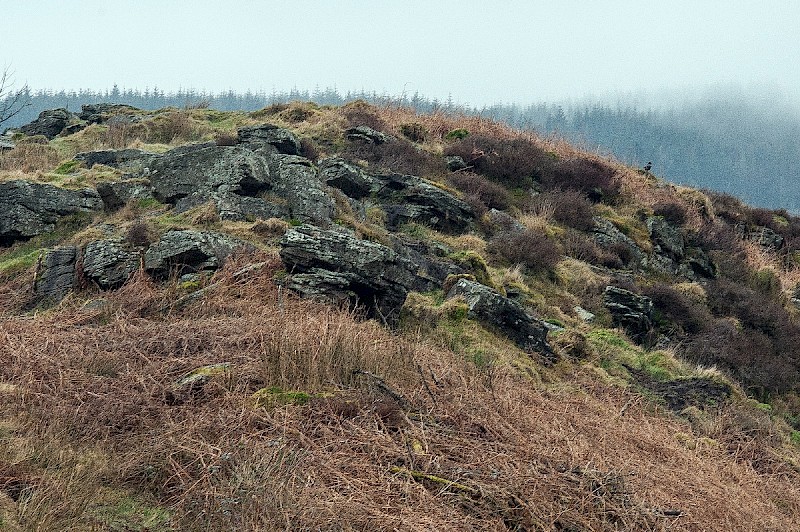 Exposed Crags and Scree (usually above the line of enclosure) - © Charles Hipkin