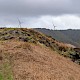 Exposed Crags and Scree (usually above the line of enclosure)