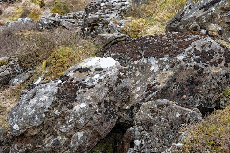 Exposed Crags and Scree (usually above the line of enclosure) - © Charles Hipkin