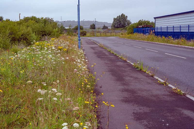 Semi-improved Mesotropic Grassland, Roadside Verges and Roundabouts - © Charles Hipkin