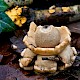 Geastrum triplex