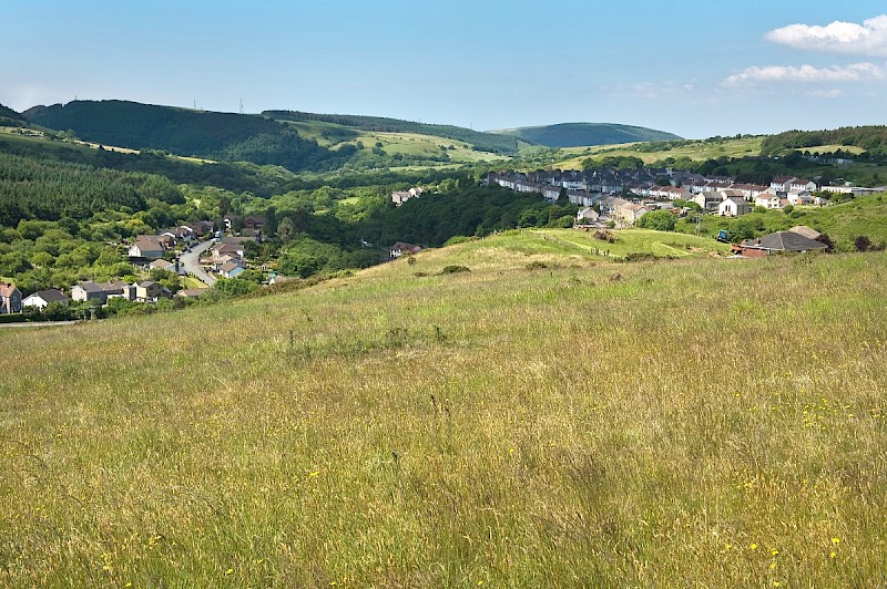 Grasslands on Restored Coal Waste - © Charles Hipkin