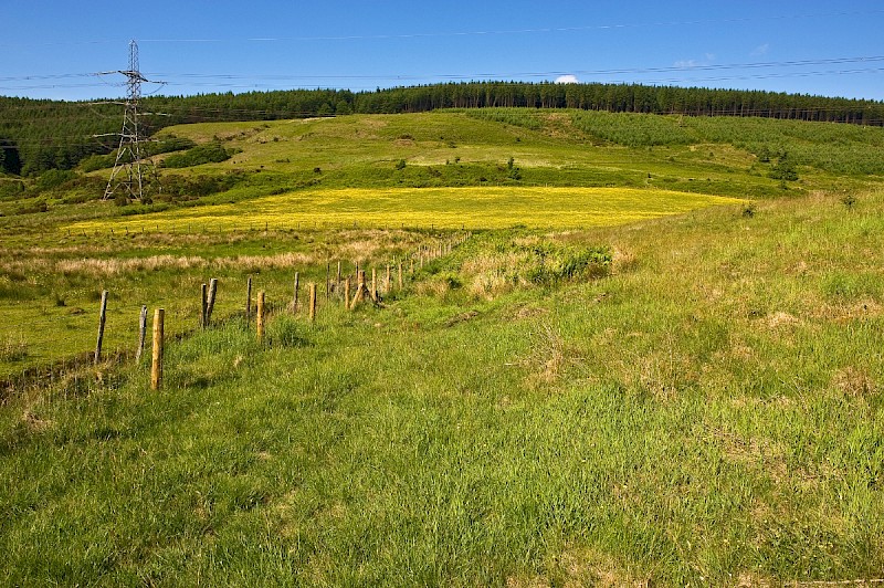 Grasslands on Restored Coal Waste - © Charles Hipkin