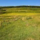 Grasslands on Restored Coal Waste