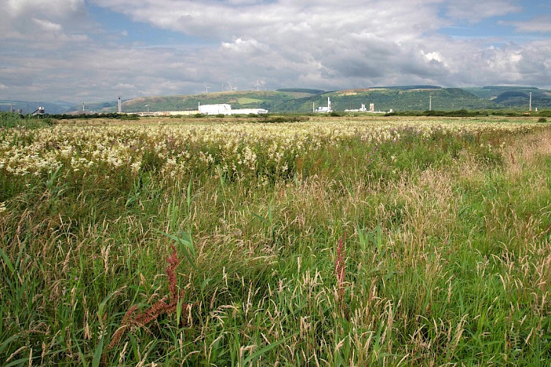 Levels (including Grazing Marsh) - © Charles Hipkin