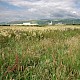 Levels (including Grazing Marsh)