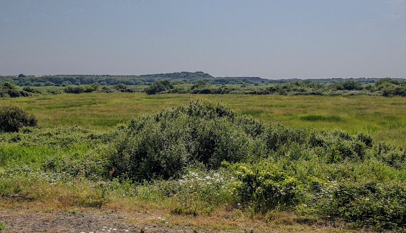 Levels (including Grazing Marsh) - © Charles Hipkin