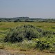 Levels (including Grazing Marsh)