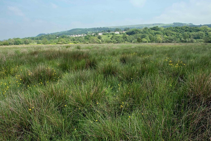 Levels (including Grazing Marsh) - © Charles Hipkin