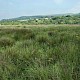 Levels (including Grazing Marsh)