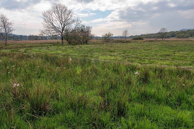 Levels (including Grazing Marsh) - © Charles Hipkin