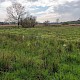 Levels (including Grazing Marsh)