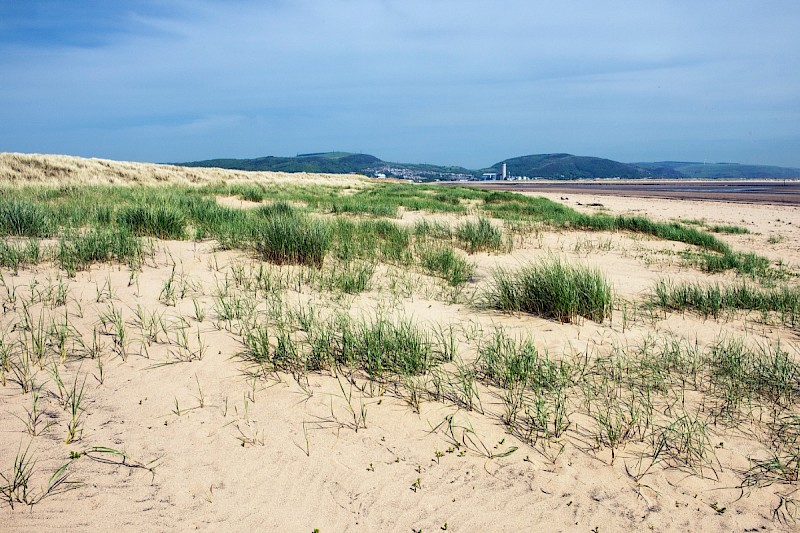 Sand Dunes - © Charles Hipkin