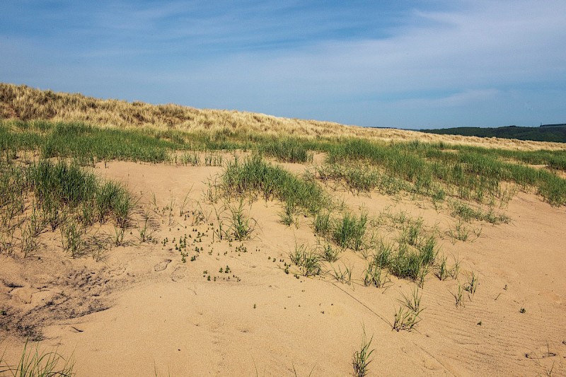 Sand Dunes - © Charles Hipkin