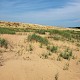 Sand Dunes