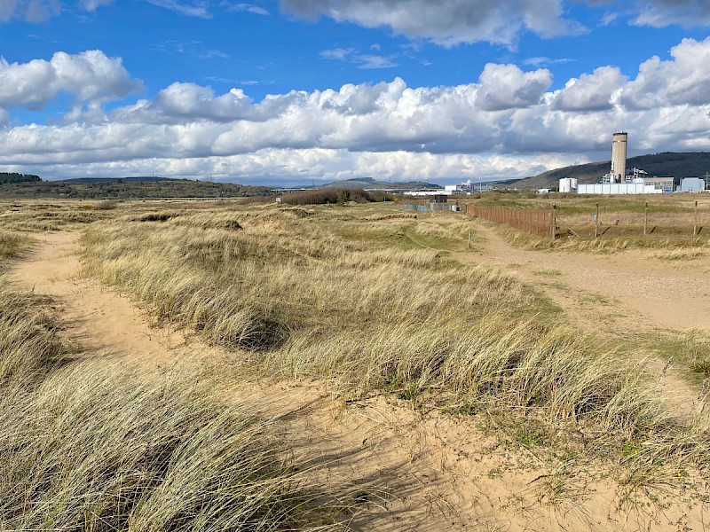 Sand Dunes - © Charles Hipkin