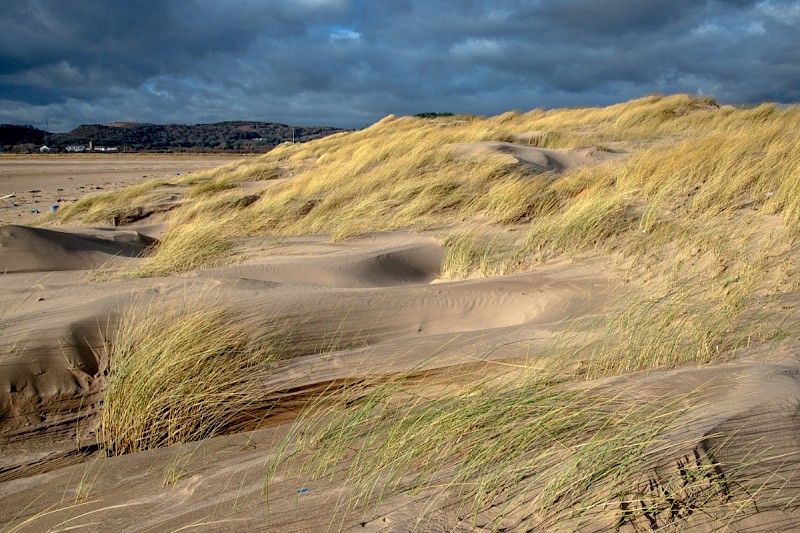 Sand Dunes - © Charles Hipkin