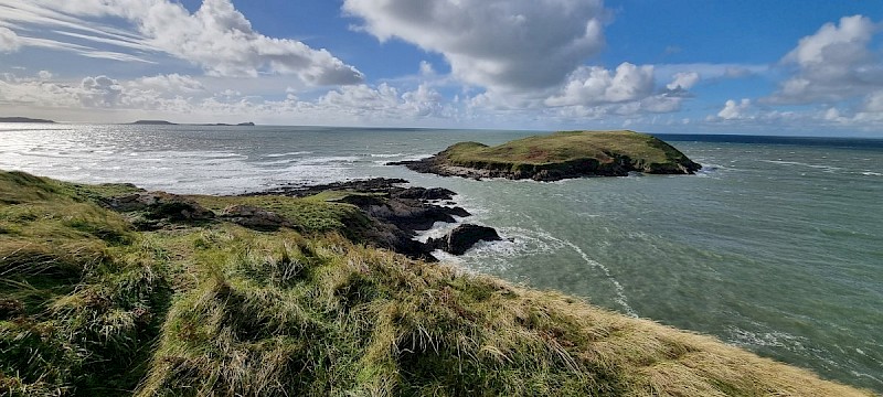 Carboniferous Limestone Cliffs - © Barry Stewart