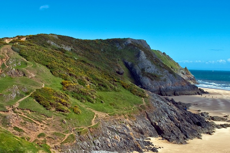 Calcareous Grassland