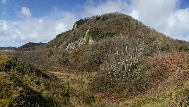 Carboniferous Limestone Cliffs - © Barry Stewart