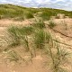 Sand Dunes