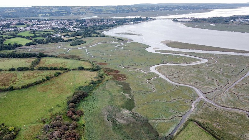 Saltmarsh