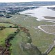 Saltmarsh