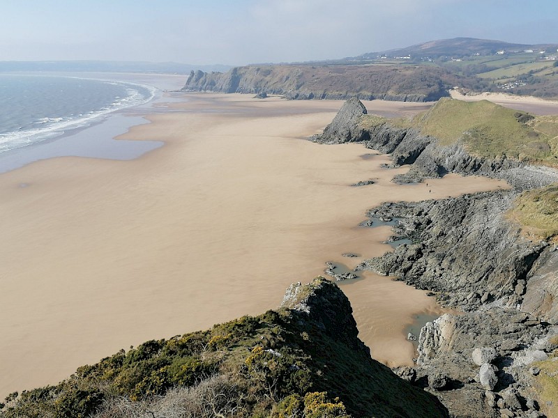 Intertidal Sand and Mud