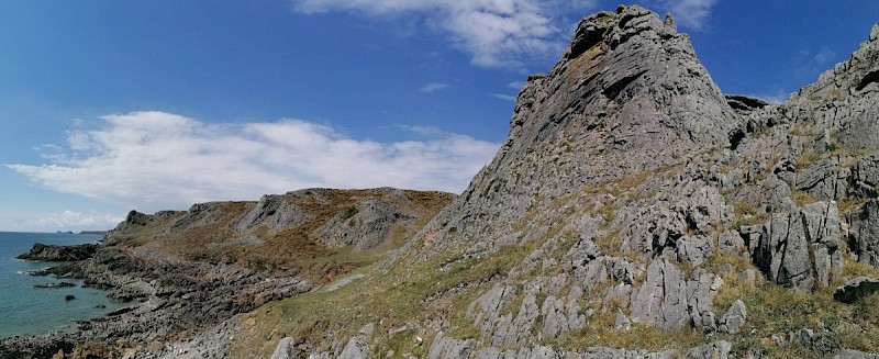 Carboniferous Limestone Cliffs - © Barry Stewart