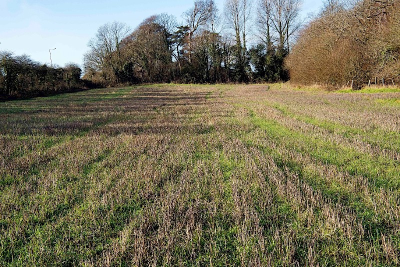 Arable Land - © Charles Hipkin