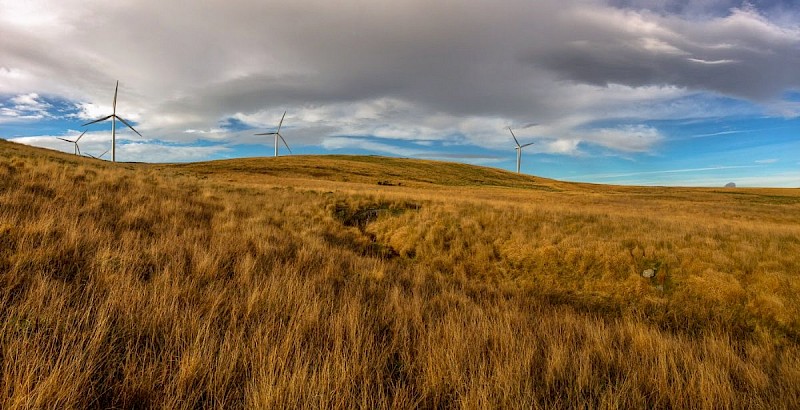 Marshy Grassland (including Rhos Pasture) - © Barry Stewart