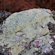 Lecanora sulphurea