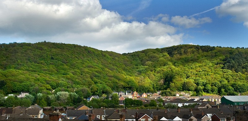 Semi-natural Deciduous Woodland - © Charles Hipkin