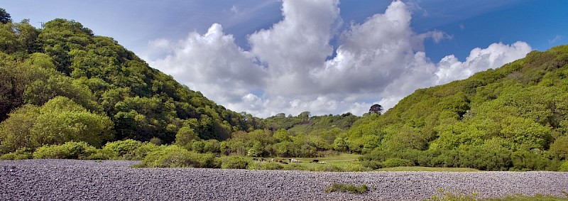 Semi-natural Deciduous Woodland - © Charles Hipkin