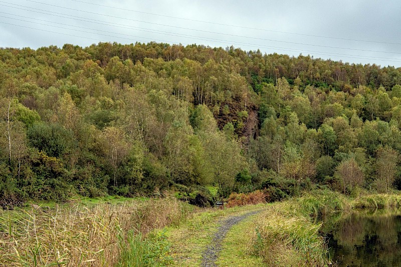 Semi-natural Deciduous Woodland - © Charles Hipkin