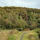 Semi-natural Deciduous Woodland