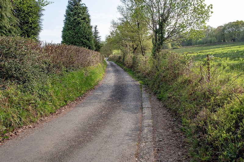 Hedgerow - © Charles Hipkin