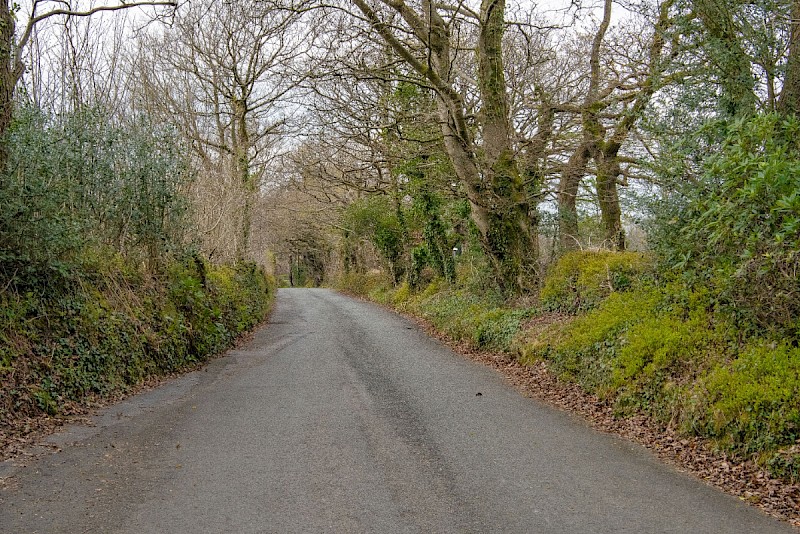 Hedgerow - © Charles Hipkin