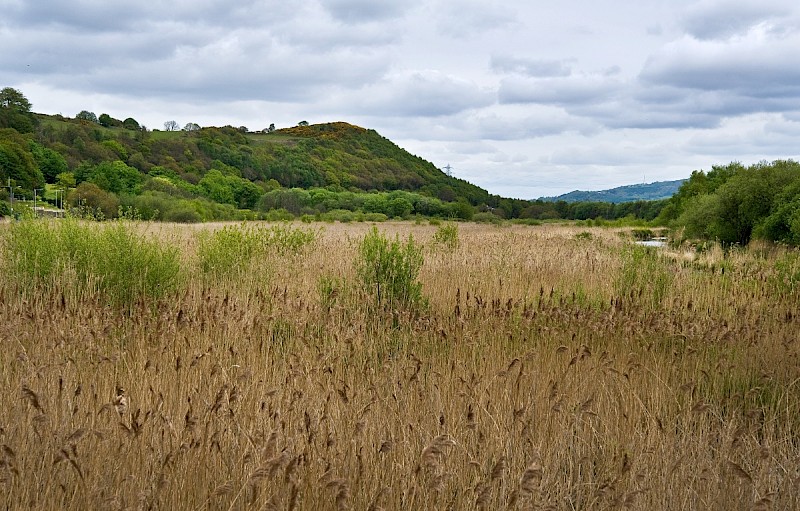 Fens - © Charles Hipkin