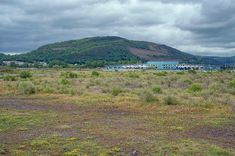 Open (early successional) Habitats on Previously Developed Land - © Charles Hipkin