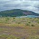 Open (early successional) Habitats on Previously Developed Land