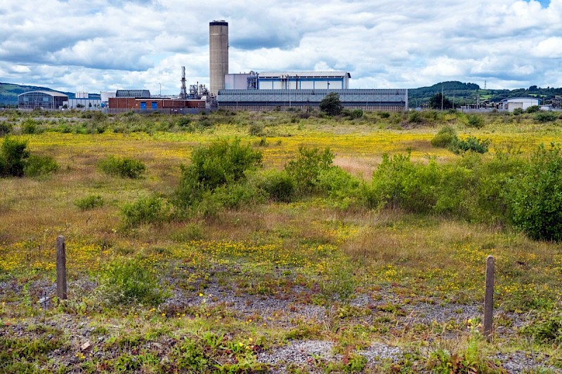 Open (early successional) Habitats on Previously Developed Land - © Charles Hipkin