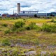 Open (early successional) Habitats on Previously Developed Land