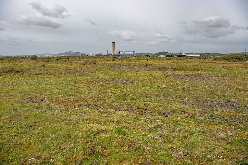 Open (early successional) Habitats on Previously Developed Land - © Charles Hipkin